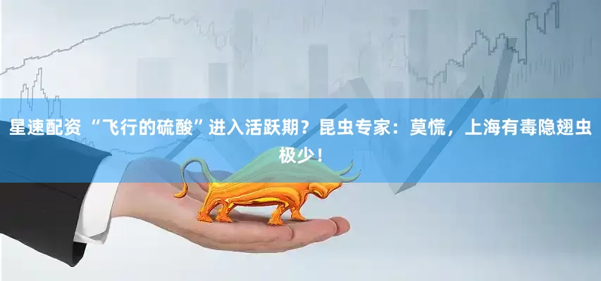 星速配资 “飞行的硫酸”进入活跃期？昆虫专家：莫慌，上海有毒隐翅虫极少！