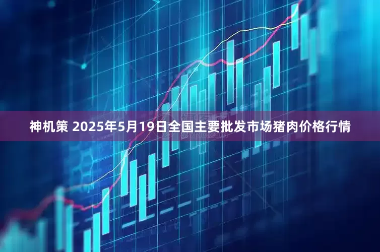 神机策 2025年5月19日全国主要批发市场猪肉价格行情