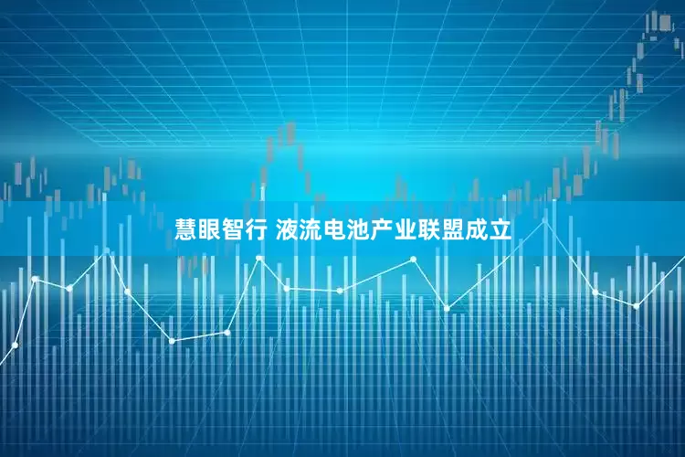 慧眼智行 液流电池产业联盟成立